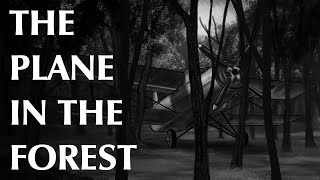 The Plane in the Forest