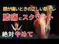 膝の痛みを治すなら正しい筋トレが重要！急にスクワットは膝を壊します
