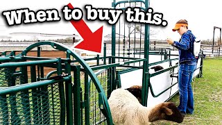 WHEN TO BUY A HANDLING SYSTEM FOR YOUR SHEEP FARM. | Lakeland Farm and Ranch SG200 Sheep and Goat