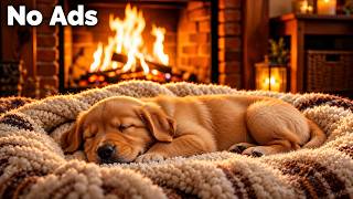 🔴 LIVE 24 Hours Healing Music for Dogs 🐶💤 Relax & Deep Sleep | Stress Relief | No Ads screenshot 3