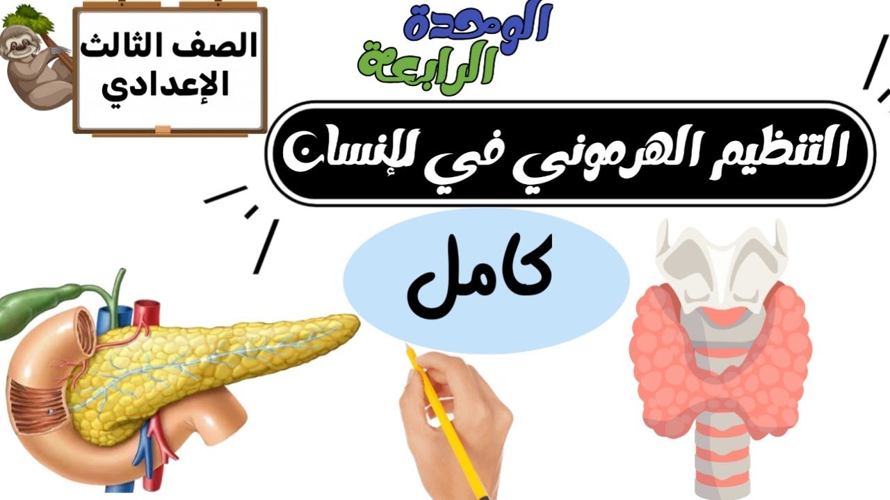 التنظيم الهرموني في الإنسان الصف الثالث الإعدادي الترم الثاني