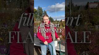 Fill-a-Cart FLASH SALE: November 1st!