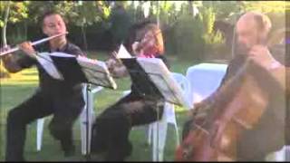 MUSICA BODAS EVENTOS CEREMONIAS PERIN MURCIA
