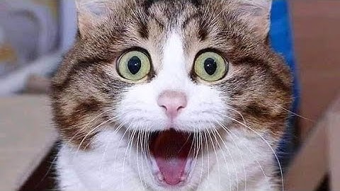 سورة مريم 2022 راحة نفسية وتريح قلبك ❤️😍