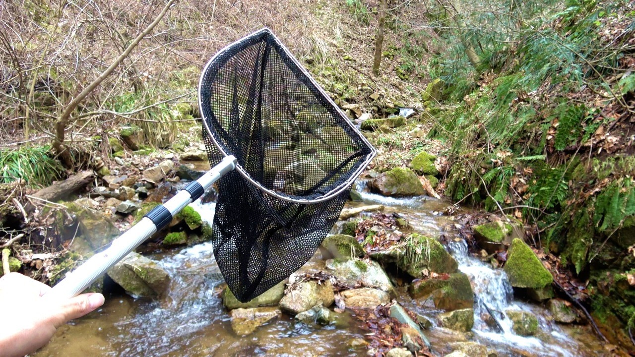 I bought a mountain for 1.8 million yen, and there's a stream in