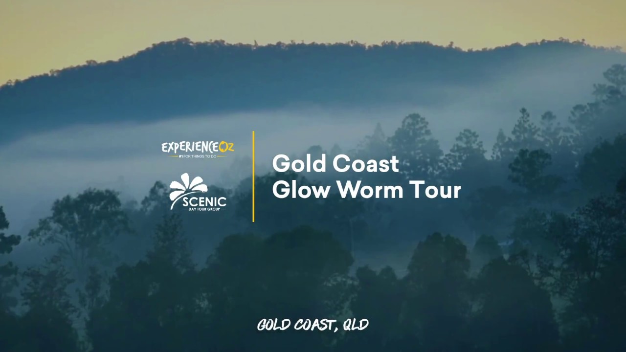 Scenic Hinterland Tours | Gold Coast Glow Worm Tour | Experience Oz