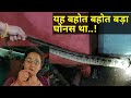 || इतना बड़ा घोनस के संभालना मुश्किल था || A very big Russell's viper rescued by Nirzara Chitti ||