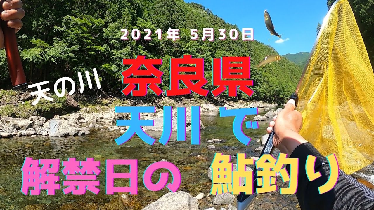 2021年解禁日 の 奈良県 天川で鮎釣り 2021年5月30日 天川村 天の川