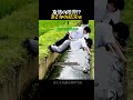 川に落ちた球まさかの結末w