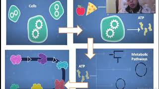 Enzyme Compartmentalization and Regulation part I