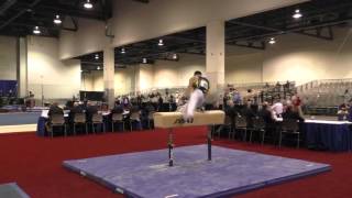 Kyle Zemeir  -  Pommel Horse - 2016 Winter Cup Prelims