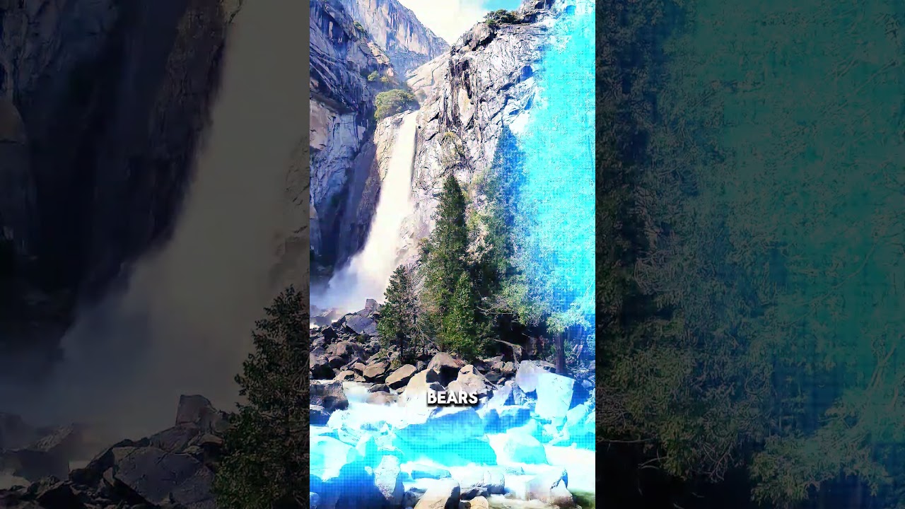 Let's visit Alaska, USA 