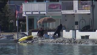 San Diego County wades through water after coastal flooding | NBC 7 San Diego