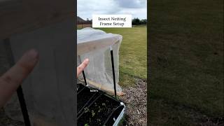 This DIY Insect Netting is a total game-changer: Here's the setup! Net Worth