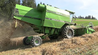 Wheat Harvest 2023 relaxed in the mountains whit special combine harvesterDeutz-Fahr M35.75