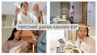 картинка: ЭХ НЯРАЙН СУВИЛАЛД ӨНГӨРҮҮЛСЭН 7 ХОНОГ