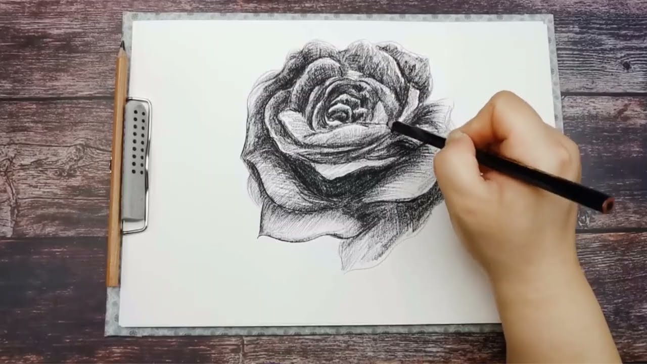 リアルな鉛筆画 ROSE maxresdefault.jpg