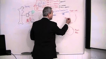 Immunology (T Cells) Lecture 7 part 3/4