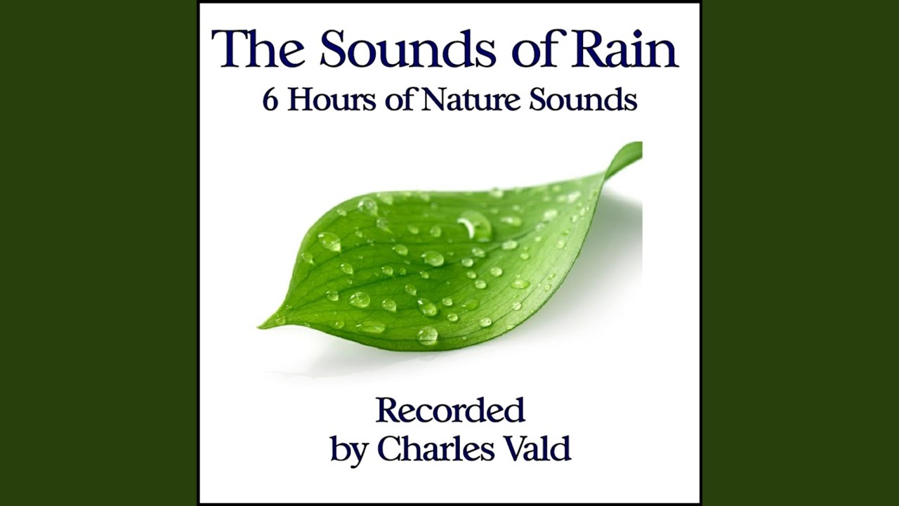 Heavy Rain - Nature Sounds (60 Minutes)