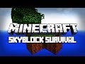 Minecraft SkyBlock Bölüm 1 Klasik Haritanı