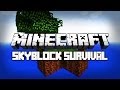 Minecraft: SkyBlock - Bölüm 1 - Klasik Haritanın LeafGaming ile İmtihanı!