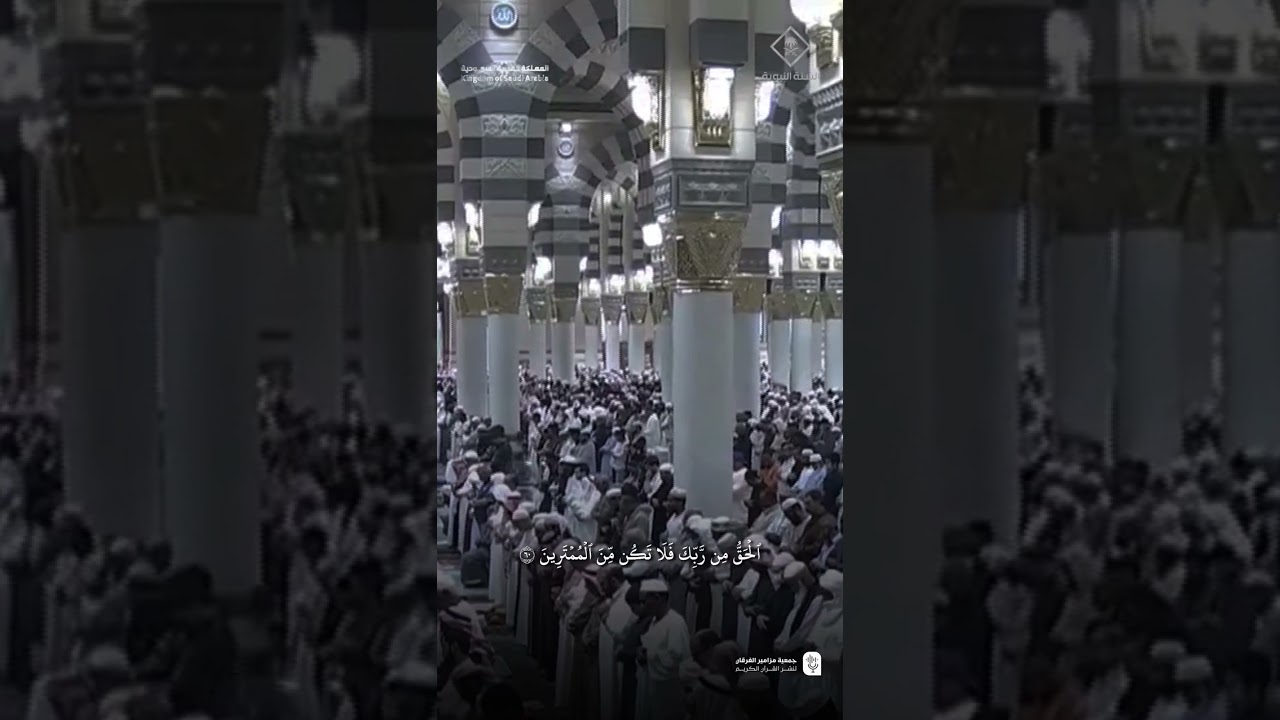 مقتطف من تلاوة فضيلة الشيخ #عبدالمحسن_القاسم من صلاة التراويحليلة 4 رمضان 1446هـ