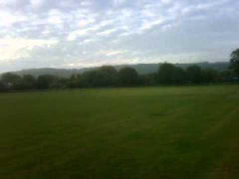 Red Kites in Chinnor