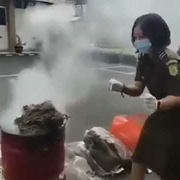 Petugas bakar ganja ... ngefly sekecamatan 😂😂