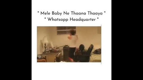 Whattsapp new privacy meme|short video|meme status|#Youtubeshorts #shorts