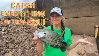 The BEST FISHING RIG to Catch EVERYTHING in the RIVER!!!