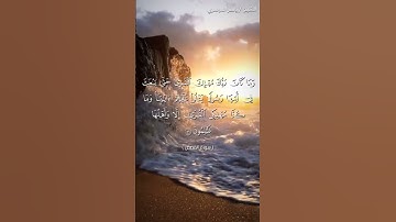 سورة القصص من  آية 58 إلى آية 60 بصوت الشيخ ياسر الدوسري♥♥