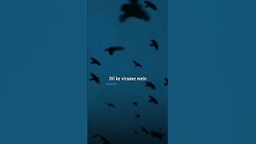 Phir Se Ussi More Se Start Karunga Jindagi Jahan Tum Ajnabi The Aur Sara Sahar Apna Tha Ytshorts 