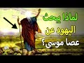 أين اختفت عصا موسى عليه السلام ولماذا يبحث اليهود عنها في كل مكان