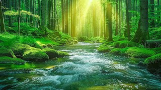 Relaxing music reduces stress, anxiety and depression 🌿 Heals mind, body and soul #5