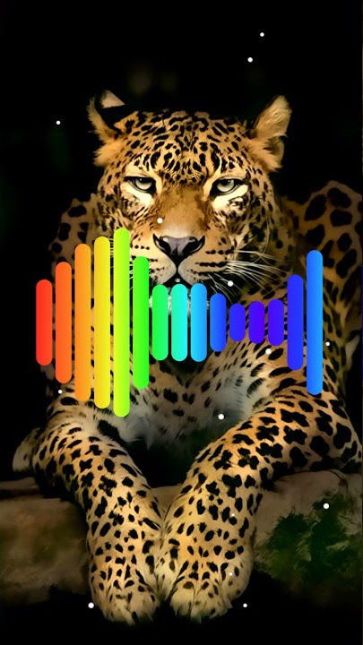 Kindess (Tiguini) Remix Ringtone Mp3 || Download Link 👇👇 || Smart Ringtone