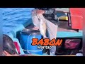 BABON LENCAM ‼️|| GAK ADA YANG KECIL KALO DI SPOT INI
