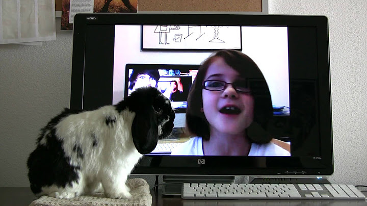 Re: Pardon Me (with a bunny)