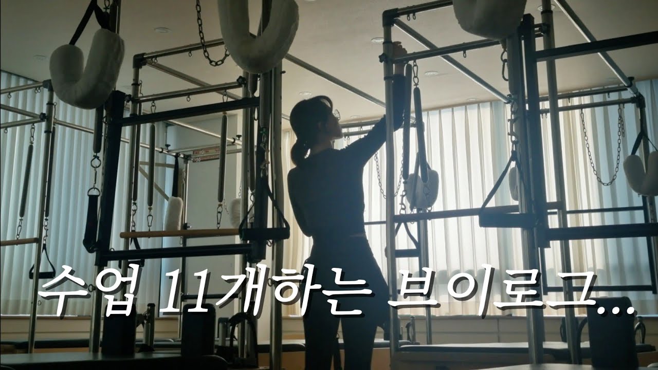 수업 11개 하느라 고양이 영상 많이 못 찍은 사람의 브이로그ㅠ | 프리랜서 필테강사 | 고양이 네마리 집사 | 열심히 사는 청년