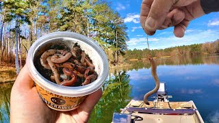 A Simple Way To Catch Crappie With Live Worms