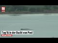 OSTSEE-WAL: Wie geht es Timmy? Jetzt LIVE bei BILD