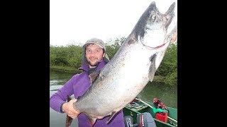 Чавыча - самый крупный лосось