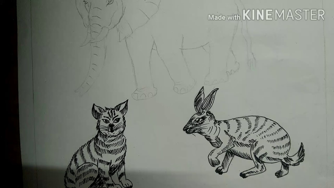 Class VI Drawing Work Animals part 2