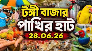 রঙ-বেরঙের পাখিতে মুখর টঙ্গী পাখির হাট | Tongi Pakhir Hat | Tongi Bazar Pakhir Hat #viral