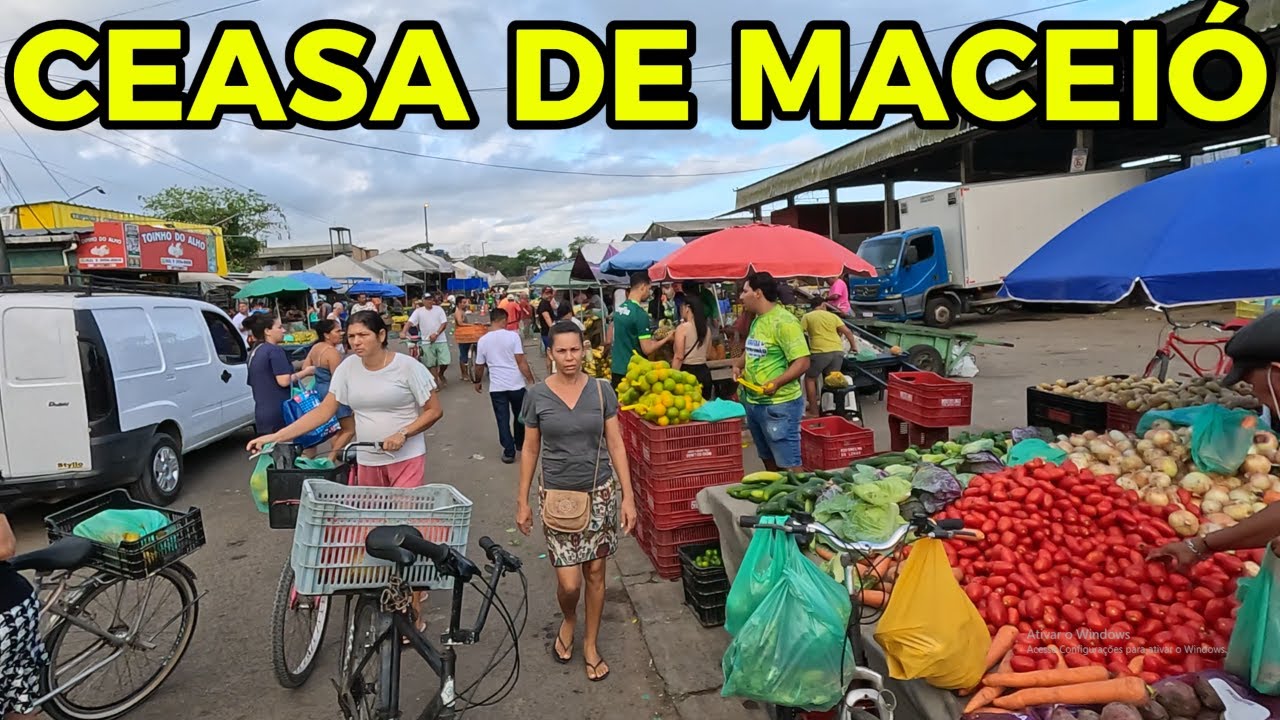 CONSULTA DE PREÇOS NO CEASA DE MACEIÓ - AL