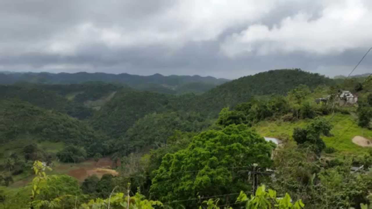 Jamaica Holiday January 2015 - YouTube