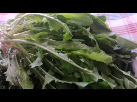 Video: Karahindiba Salatası Nasıl Yapılır