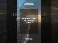 Любовь — это не просто слова, а поступки #любовь #отношения
