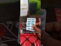 Brian shims capsule hatch #guppyfishkeepinghobby #smartphone #aquarium #aquascapelowtech