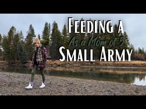 Grocery Haul for a Birthday Party & Our Favorite Meals this Week