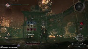 Nioh Bug: Caught a Wild Centipede